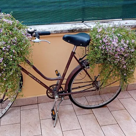 La Terrazza Nel Centro Privatunterkunft *